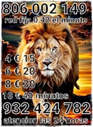 tarot fiable y económico en visas