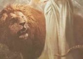 Tarot y Videncia de Calidad
