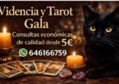 Gala Vidente Especialista Tarot