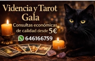 Gala Vidente Especialista Tarot