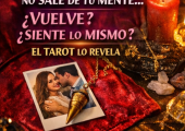 Tarot Profesional Confidencial
