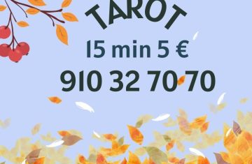 30102023-910327070